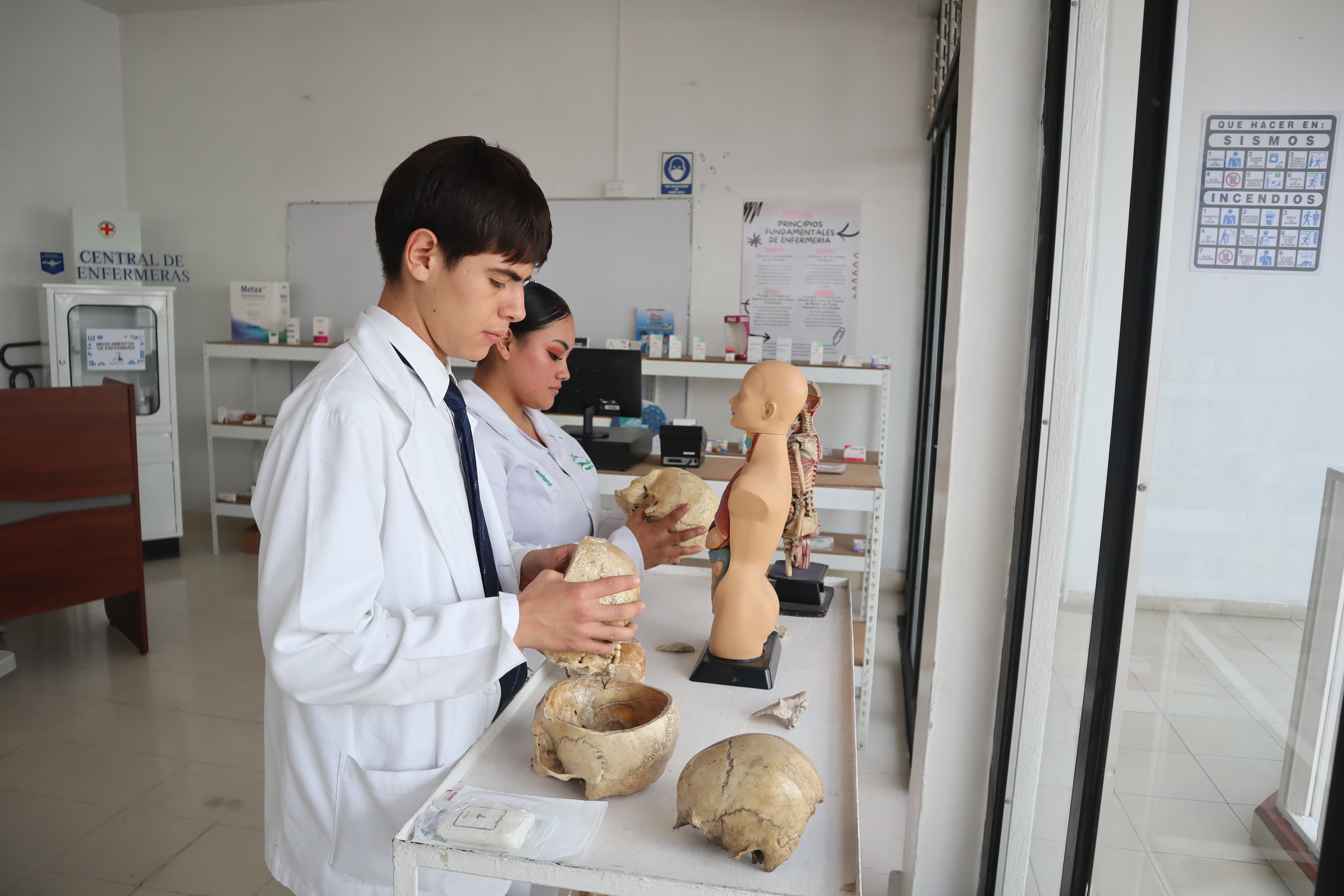 Clase práctica con modelos anatómicos